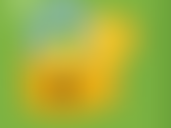 How to Implement Zero Trust for Your Office Guest Wi-Fi Network