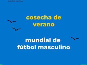 ¿Cuántas personas siguieron el Mundial?