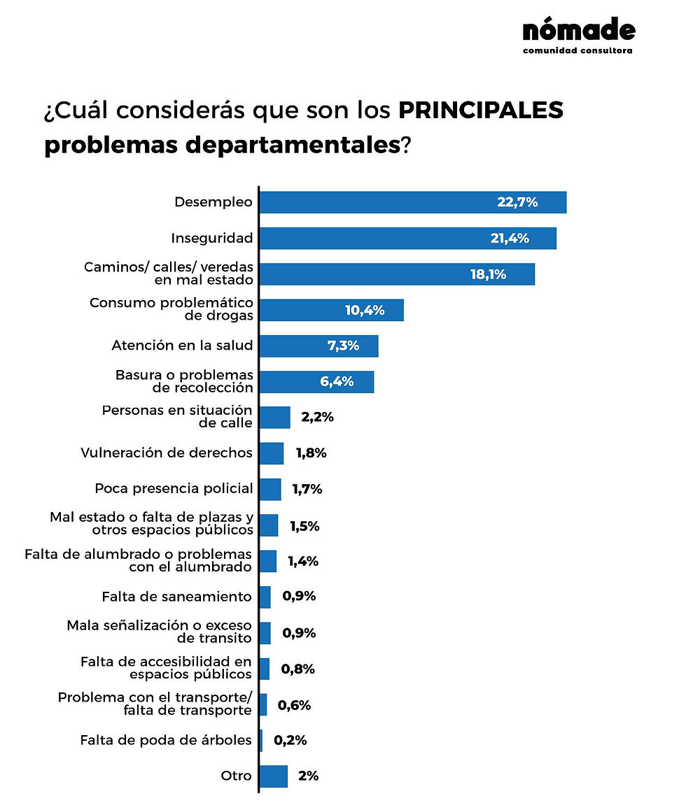 Gráfica 4. Principales problemas departamentales. Fuente: elaboración propia.