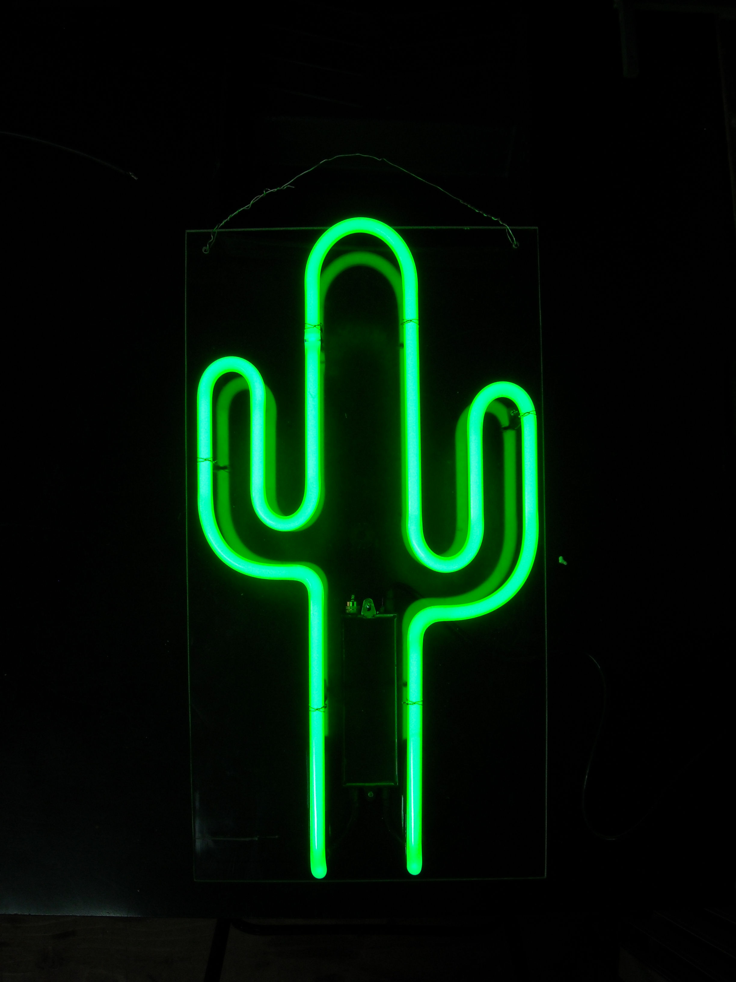 Concept Neon Vancouver Neon Rental Company BC CND