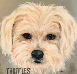 Truffles