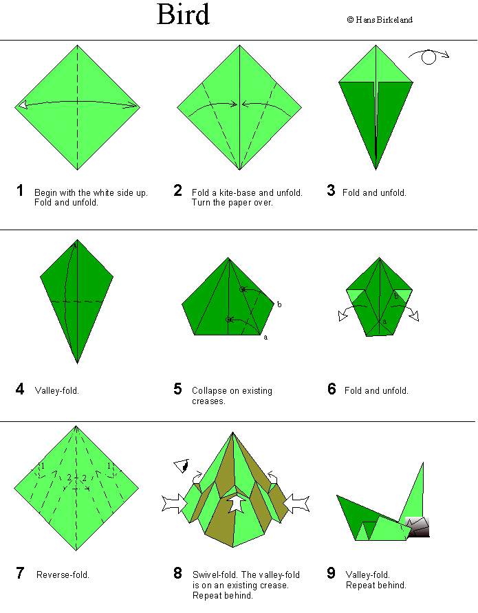 birkeland-bird-1.gif