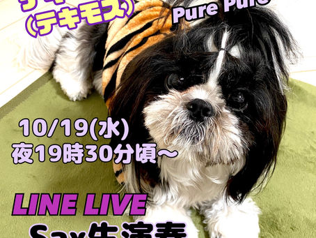 🍇Sax生演奏🍇