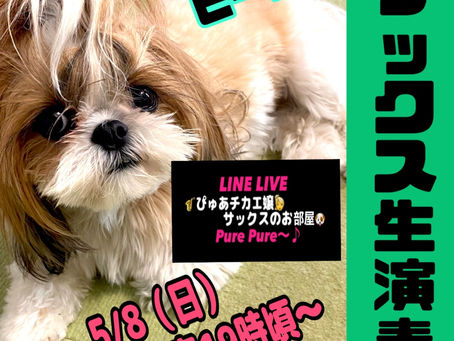 🌈サックス生演奏🌈