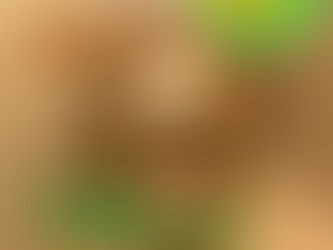 ソプラニーノサックスランダム演奏🌈✨