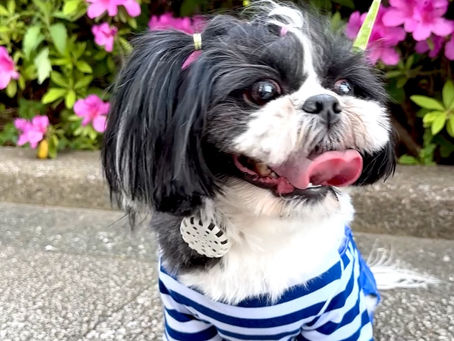 楽しいFridayになぁれ🌈