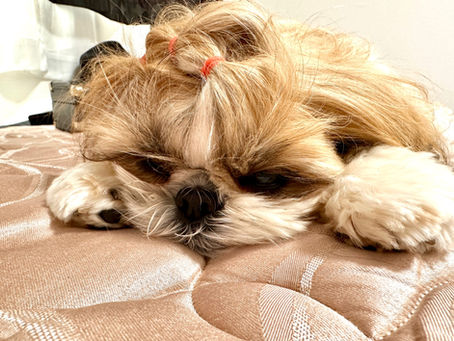 ふてくされてる😆😅😂？