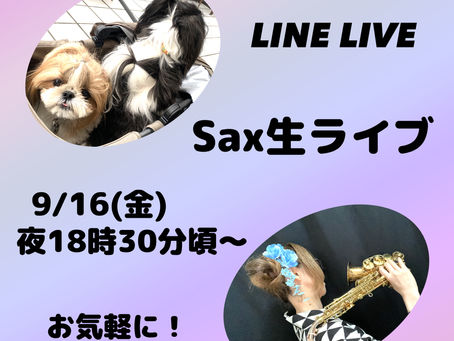 金曜も元気に吹くよ🎷✨