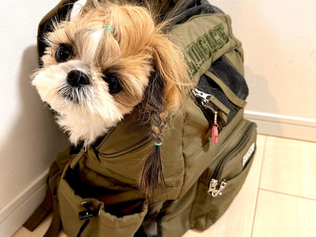 電車のお供⭐️✨