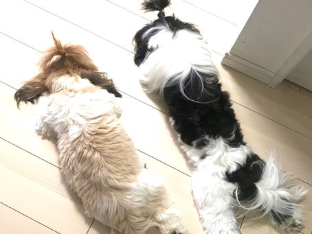 仲良し(^◇^;)？？？