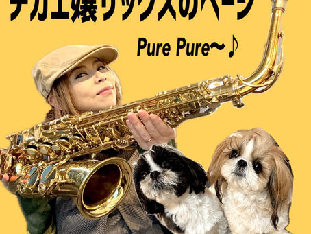 チカエ嬢サックスのページ🎷👱‍♀️🐶