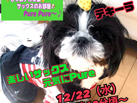 サックスライブ🎷✨
みんなで歌おう、Pure🎁✨