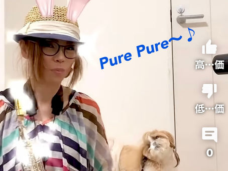 オリビアを聴きながら🐬✨