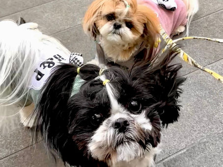 ビール＆テキーラ🌀🌀