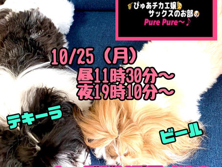 今週も宜しくお願い致します🎃🎃🎃