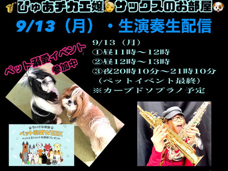 LINE LIVE、本日9/13（月）は3枠配信💐
愛犬お姫様になります🐶👗✨