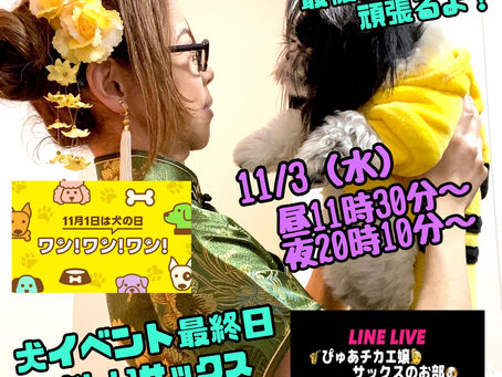 🐶犬イベント最終日🐶🌈楽しい愛犬達＆サックス🌈