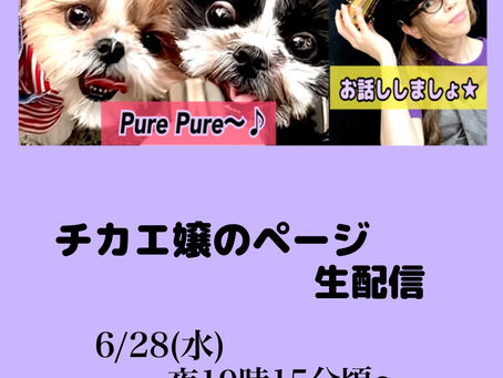 YouTubeライブ👨‍❤️‍👨✨