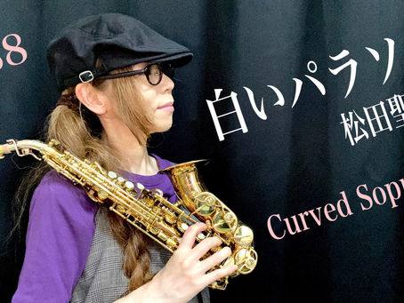 🐬今日は松田聖子さん🐬