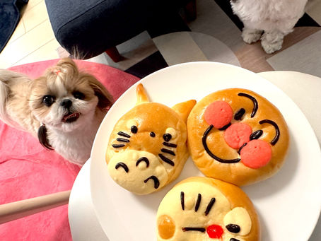 可愛いパン達🧡