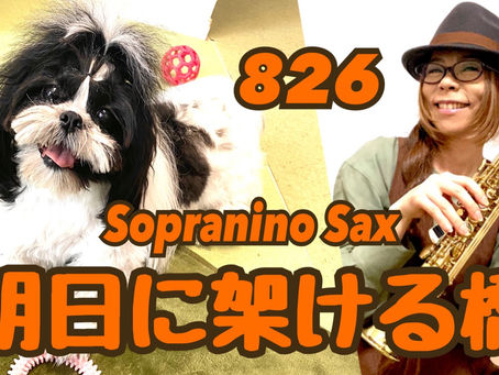 Sopranino SaxでSimon&Garfunkelさんの明日に架ける橋を吹いてみました★ チカエ嬢のページ・826ページ目