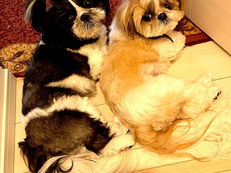 Happy  Sunday🍎🍎