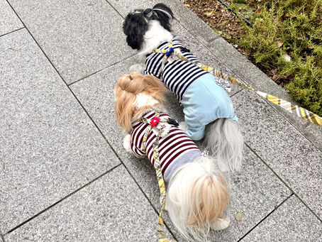 今週も元気に行こう🌻🌿