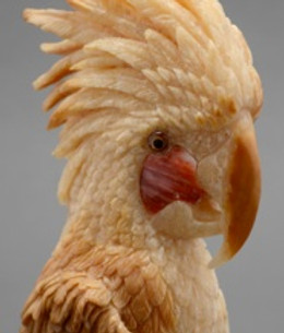 image1.jpeg