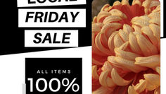 Small retailers say Black Friday bad for business ... what say you?