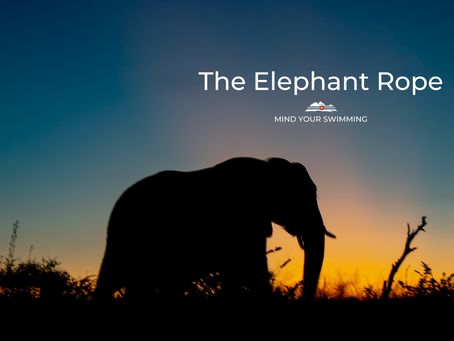 The Elephant Rope