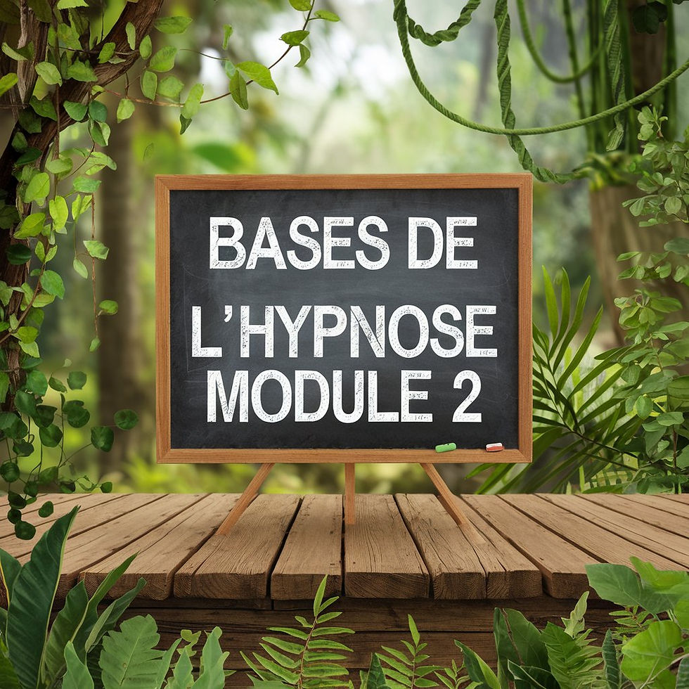 Formation de base à l'hypnose Niveau 2