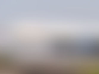 Delta 737 landing in Denver.