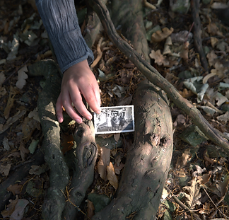 Soft natural light space for deep rest and integration