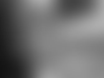 Idiom Explainer: 对牛弹琴: Music and cows?