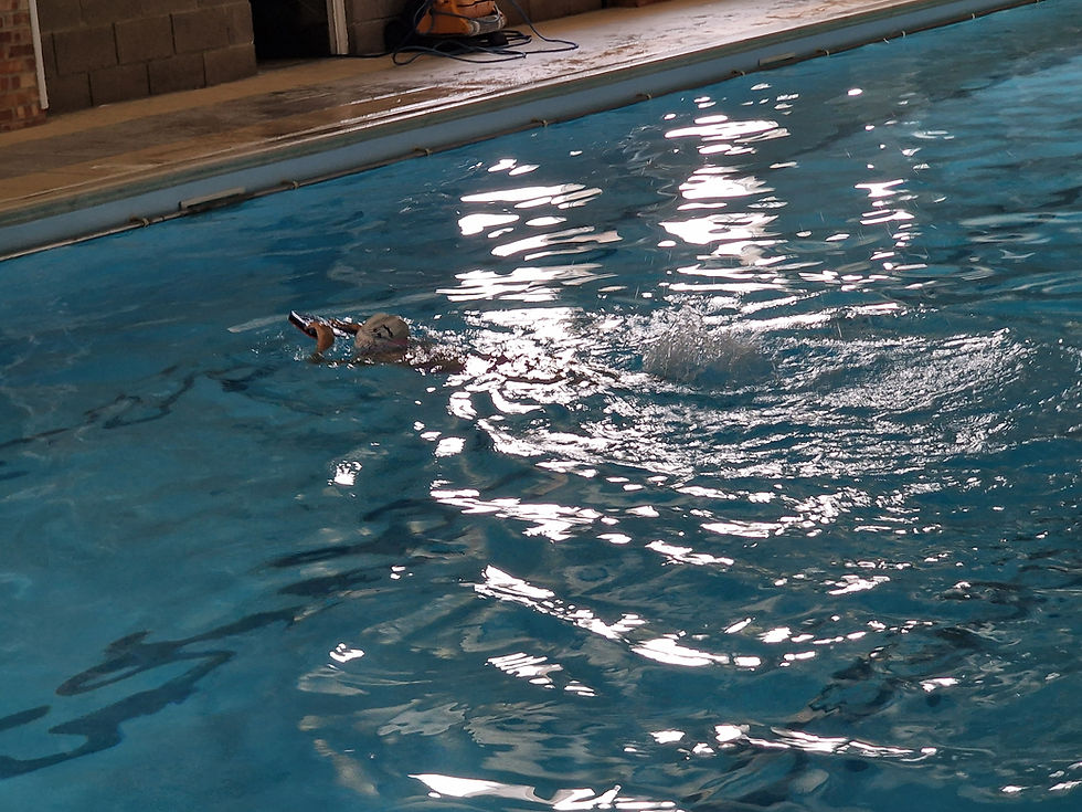 Swimming practice