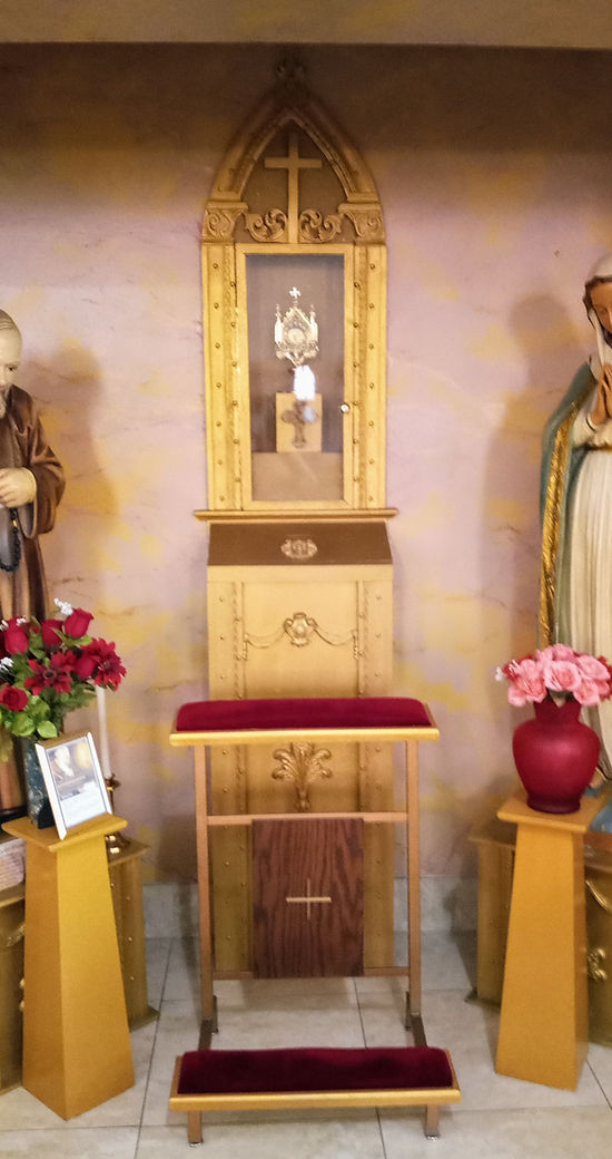 St. Francis Xavier Catholic Church & Parish 1