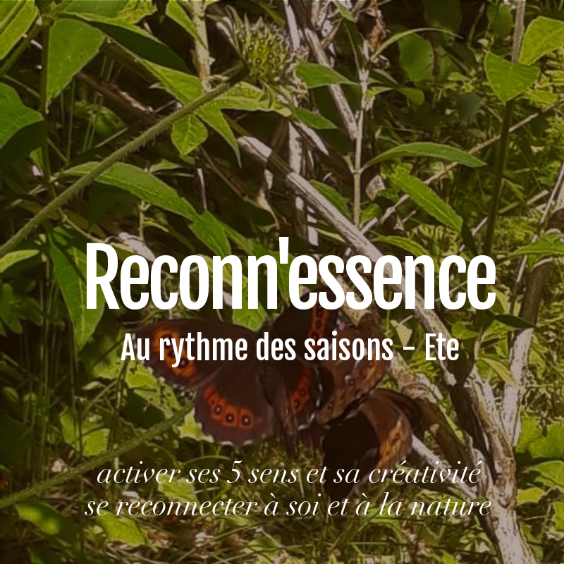 Ateliers Reconn'Essence "Au rythme des saisons" ETE