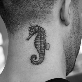 seahorse