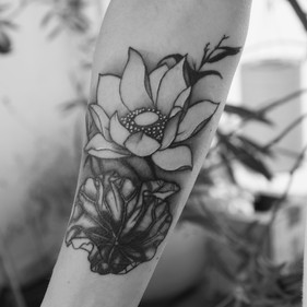 lotus flower