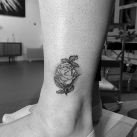 rose