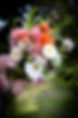 _MGL1111 copy.jpg