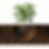 imagem planta raiz e solo.png