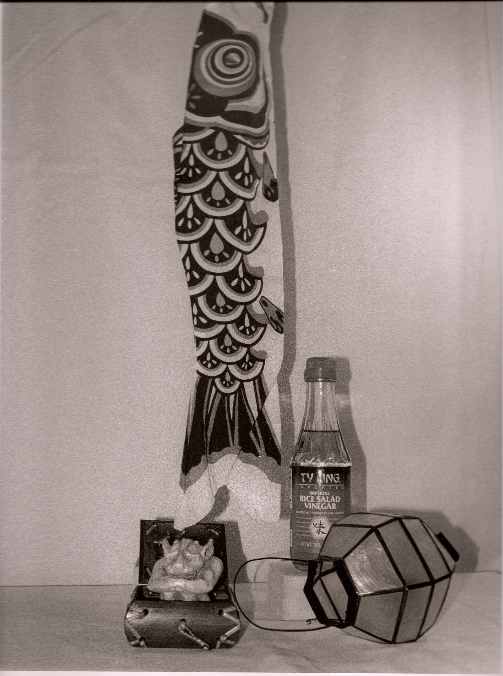 Still Life with Fish Kite