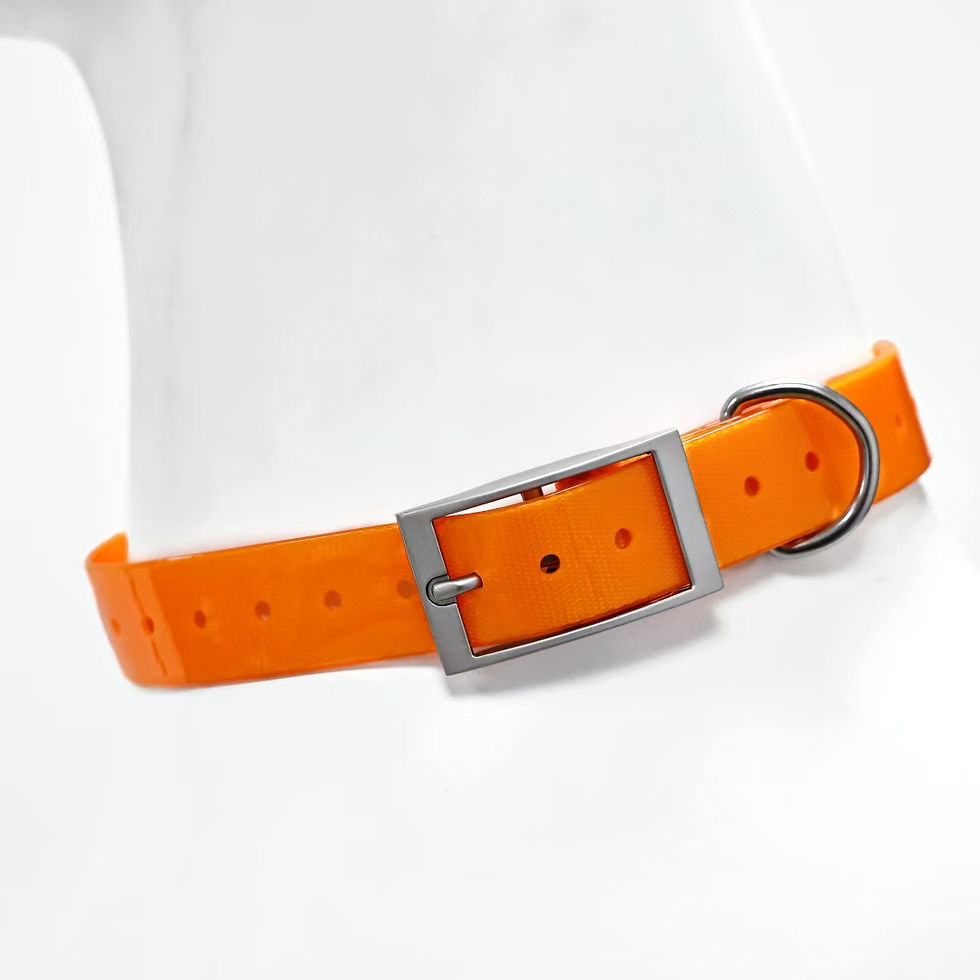 Thumbnail: Heavy-Duty TPU Waterproof Dog Collar – 2.5cm Wide Adjustable Outdoor Collar