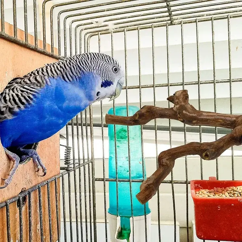 Thumbnail: Natural Wild Grape Wood Parrot Perch – Textured Standing Branch for Bird Cages