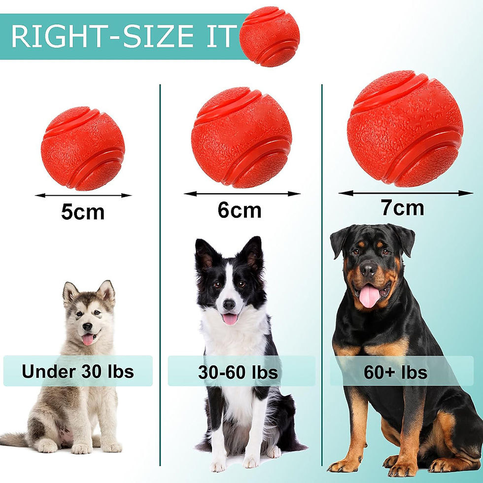 Thumbnail: Durable Solid Rubber Pet Fetch Ball