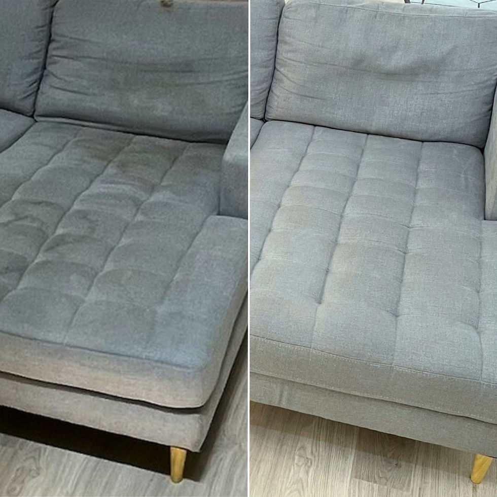 Professional Lounge Cleaning Results