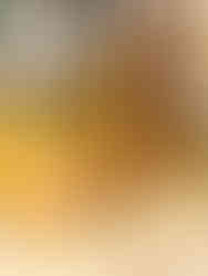 Jordbærbrus fra Landrø Lensvik