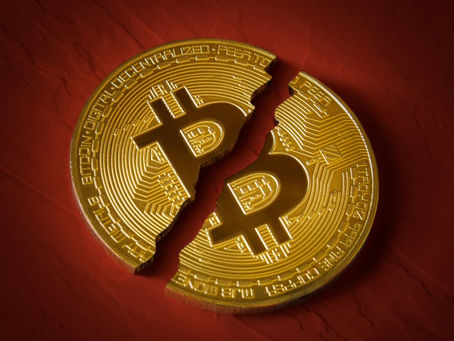 Strategi Halving BTC, BTCV & ELCASH berkenaan dengan Harga Coin di Masa Depan