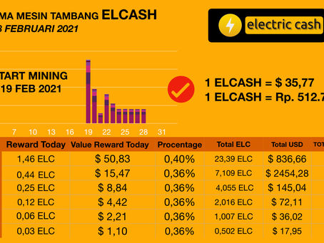 Penambang ELCASH menghasilkan Profit +6% dalam 9 hari penambangan Pertama.
